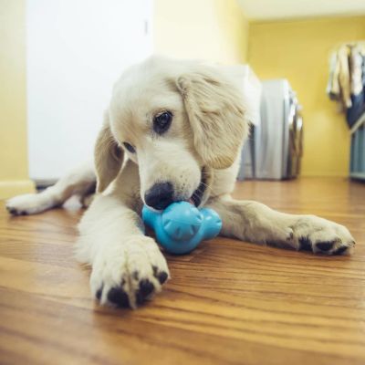 BRINQUEDOS PARA CÃES